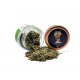 Thym Citron 414  Gamme culinaire