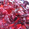 Hibiscus 150  Tisanes & infusions