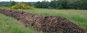 Le tas de compost préparé avec le fumier d'Alpaga, et les préparations biodynamiques